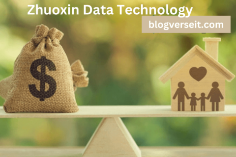 Zhuoxin Data Technology