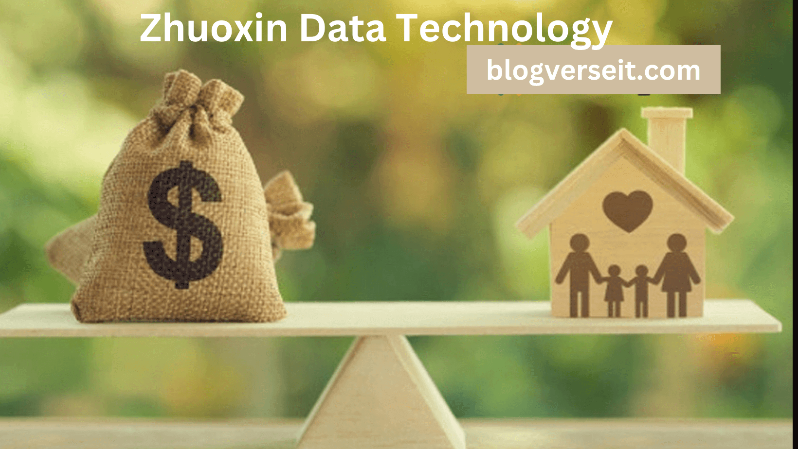 Zhuoxin Data Technology