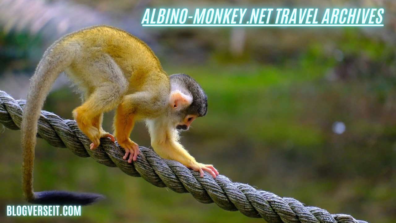 albino-monkey.net travel archives